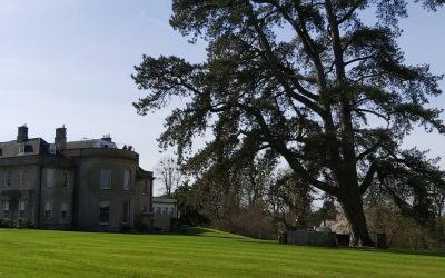 Weston Tree Group meeting