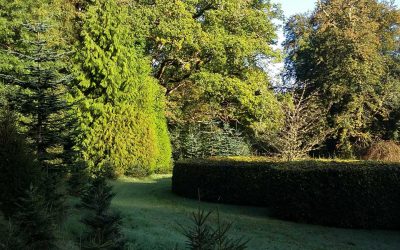 Tree Council – Tree and Woodland Strategy Toolkit